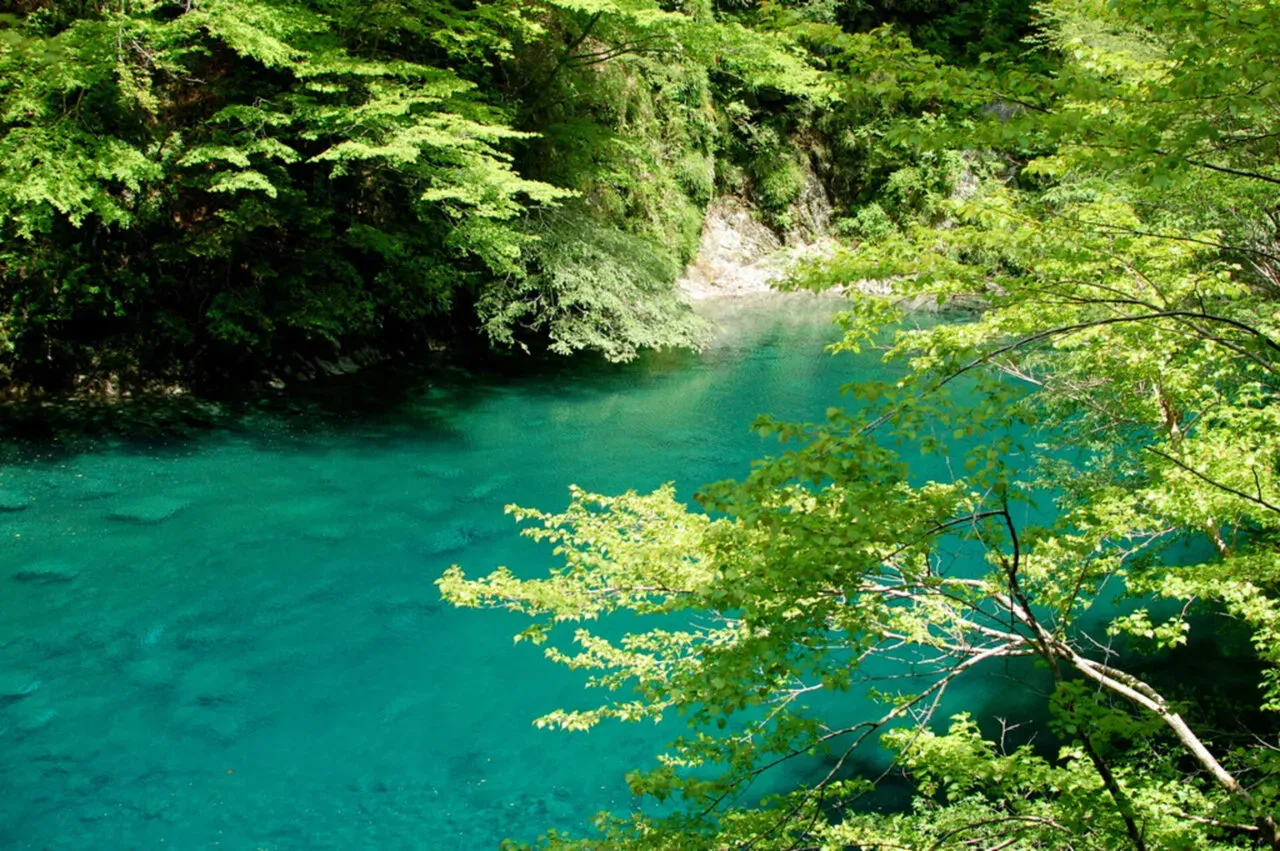 アスリートエンジニアのよくある見間違い