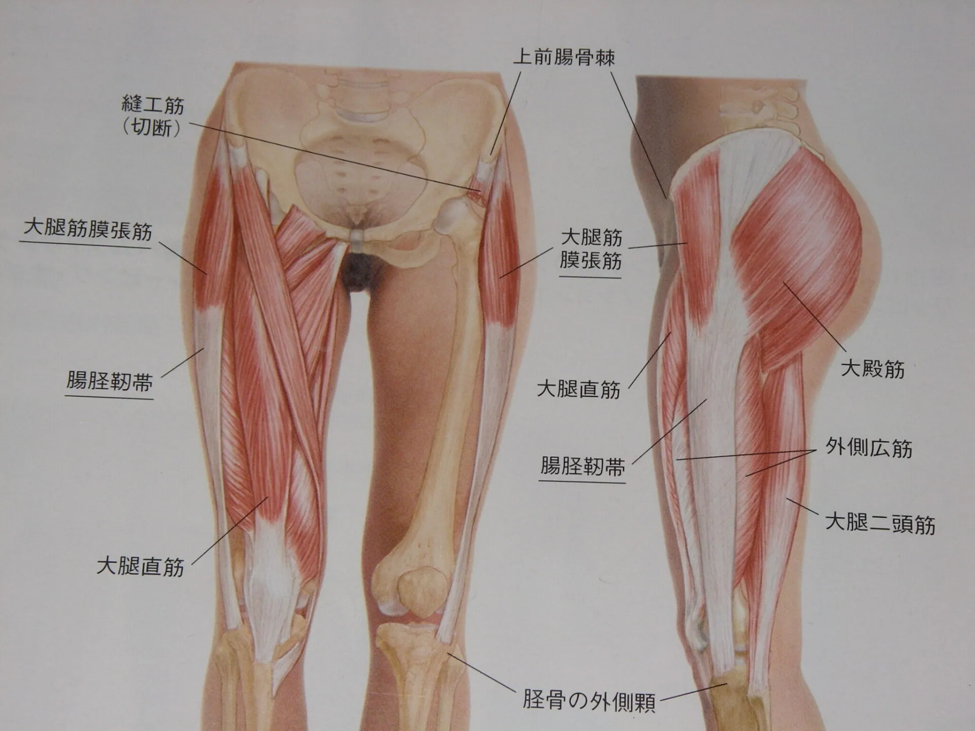 Tagamanでの落車による怪我の途中経過