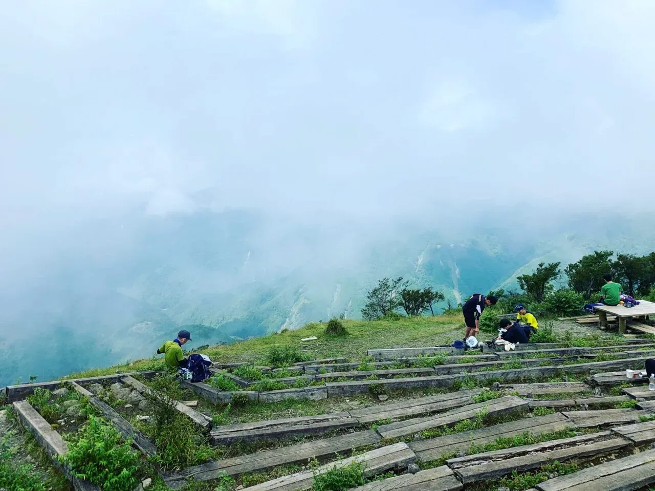 Cover Image of the Post