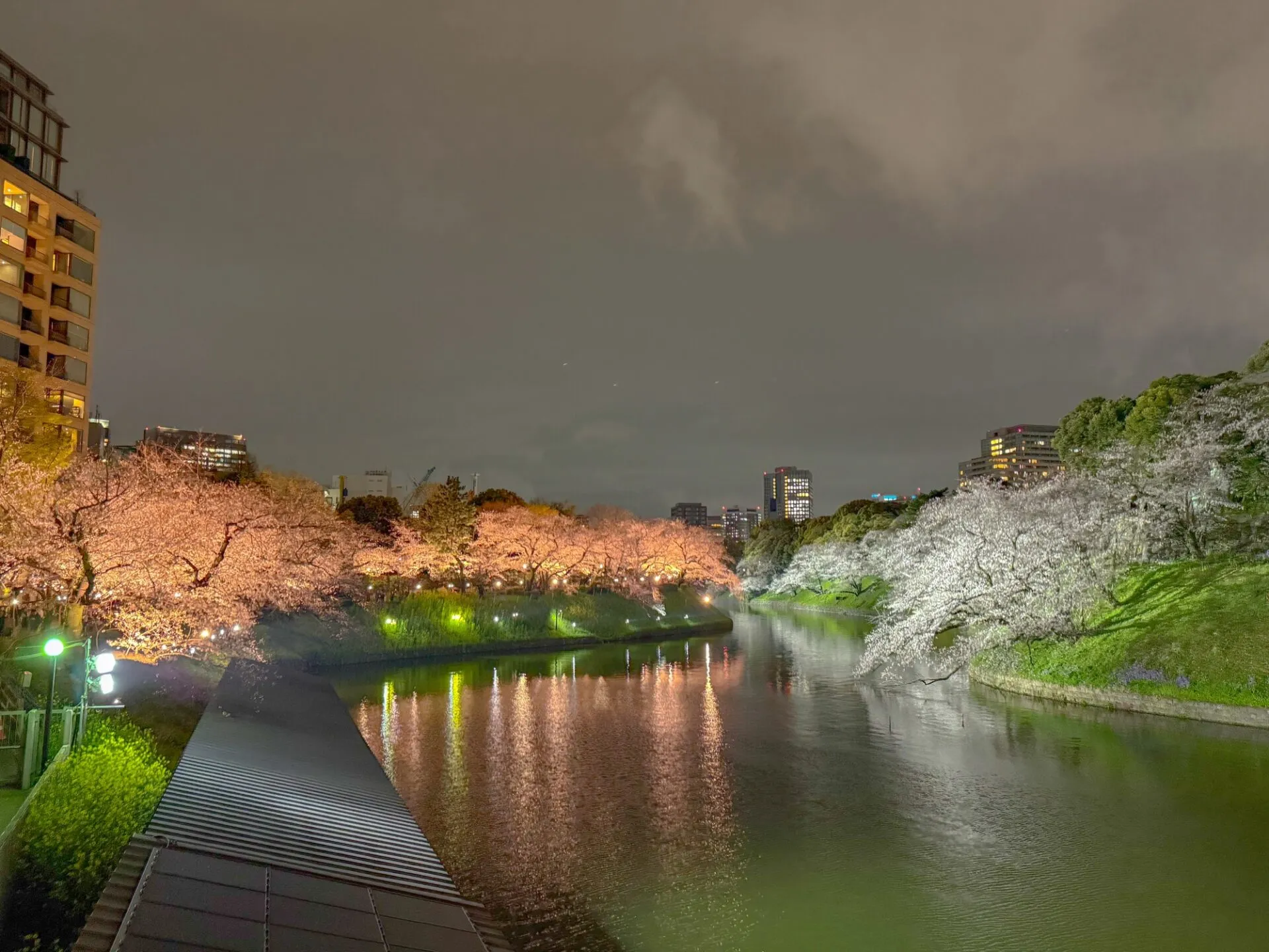 お花見ランコース　夜でも昼でもOK - 画像7