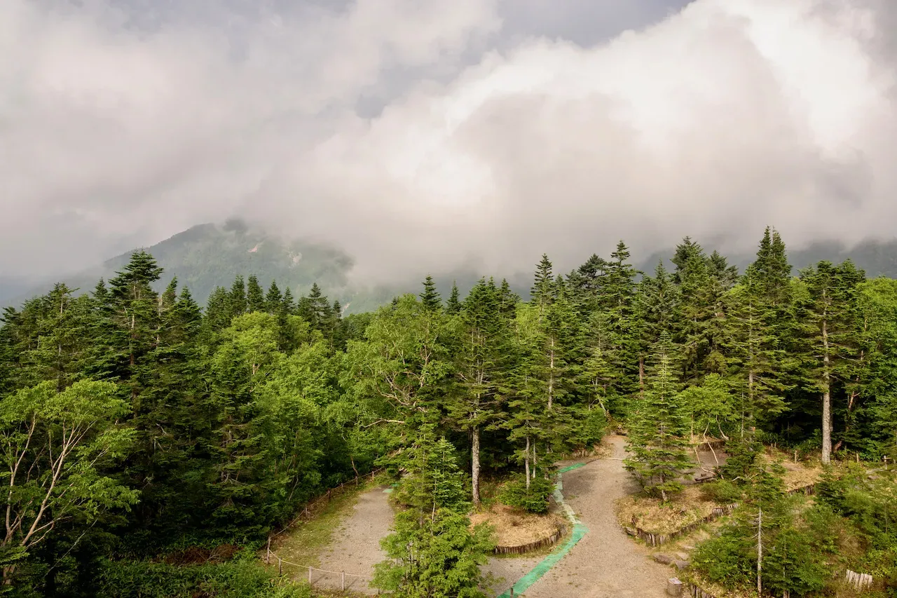ロープウェイの車窓から。