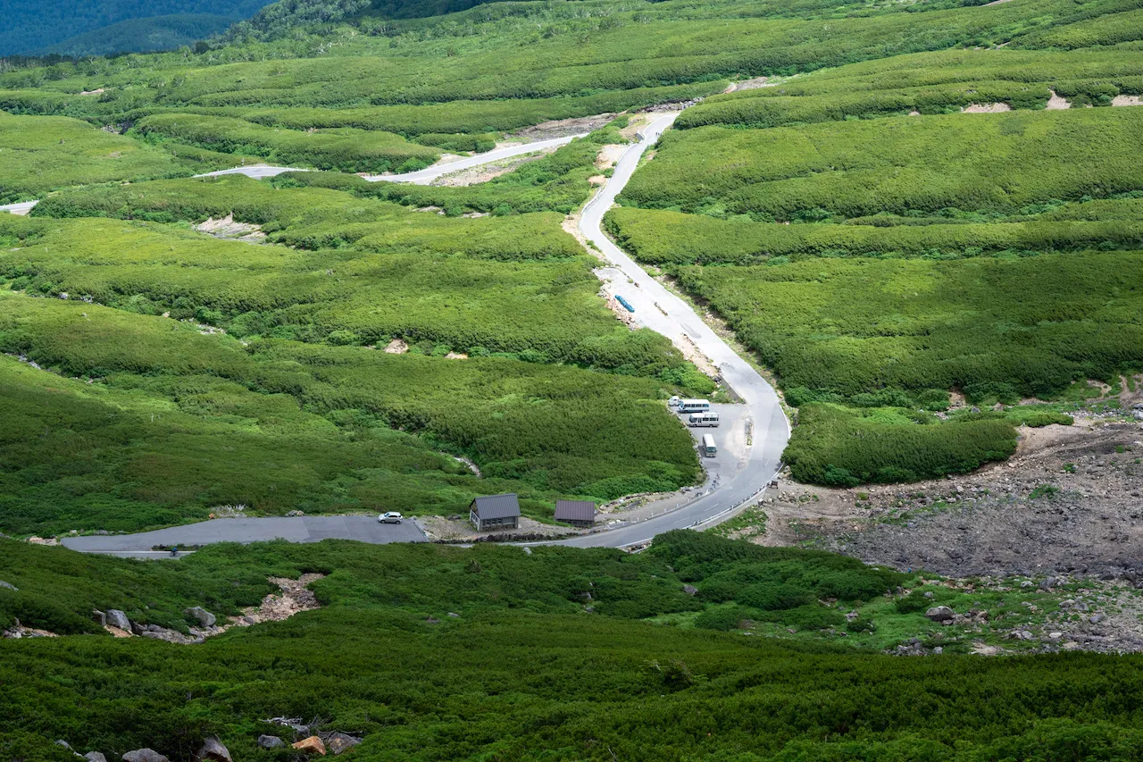 乗鞍岳をトレッキングで楽しみました(ヒルクライムは無し) - 画像26