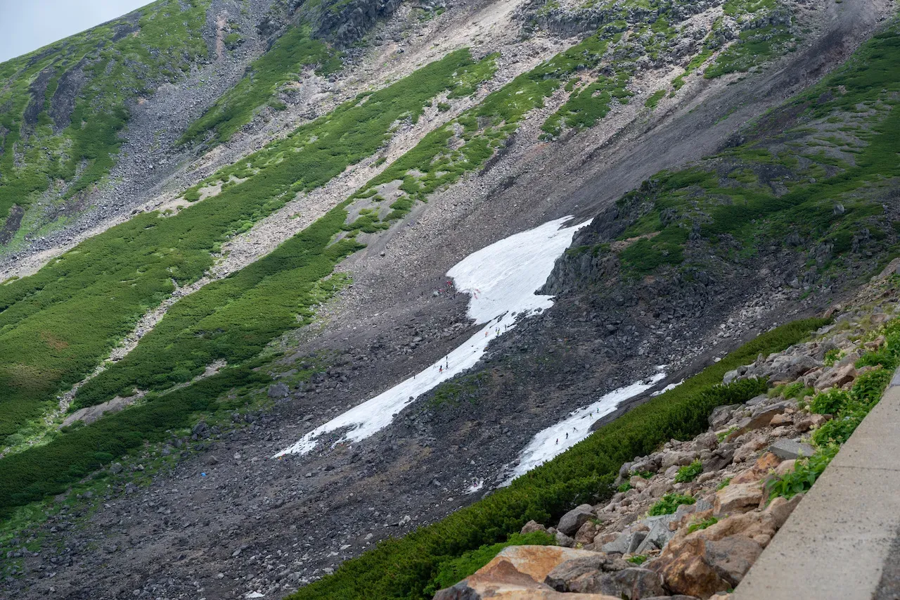 残雪でスキーを楽しんでいるようです