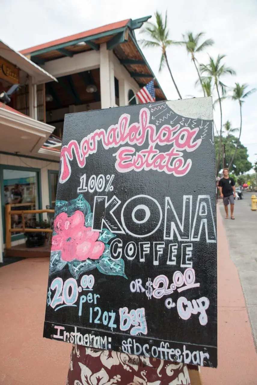 IRONMAN World Championship旅行記 (2/6)日目 - パスポートが見つかる - 画像29