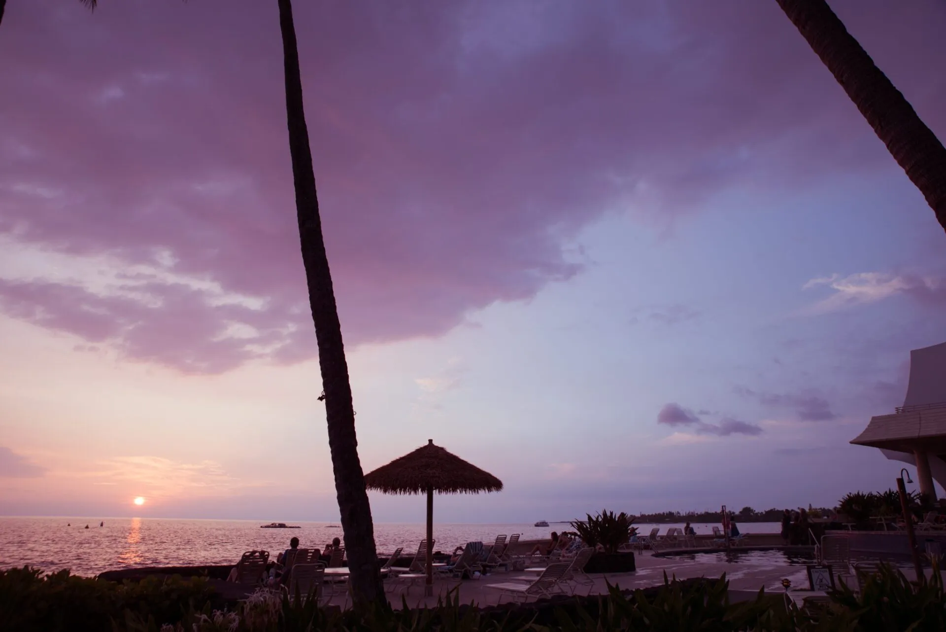 ヤシの木越しに見るコナの紫色の夕焼け