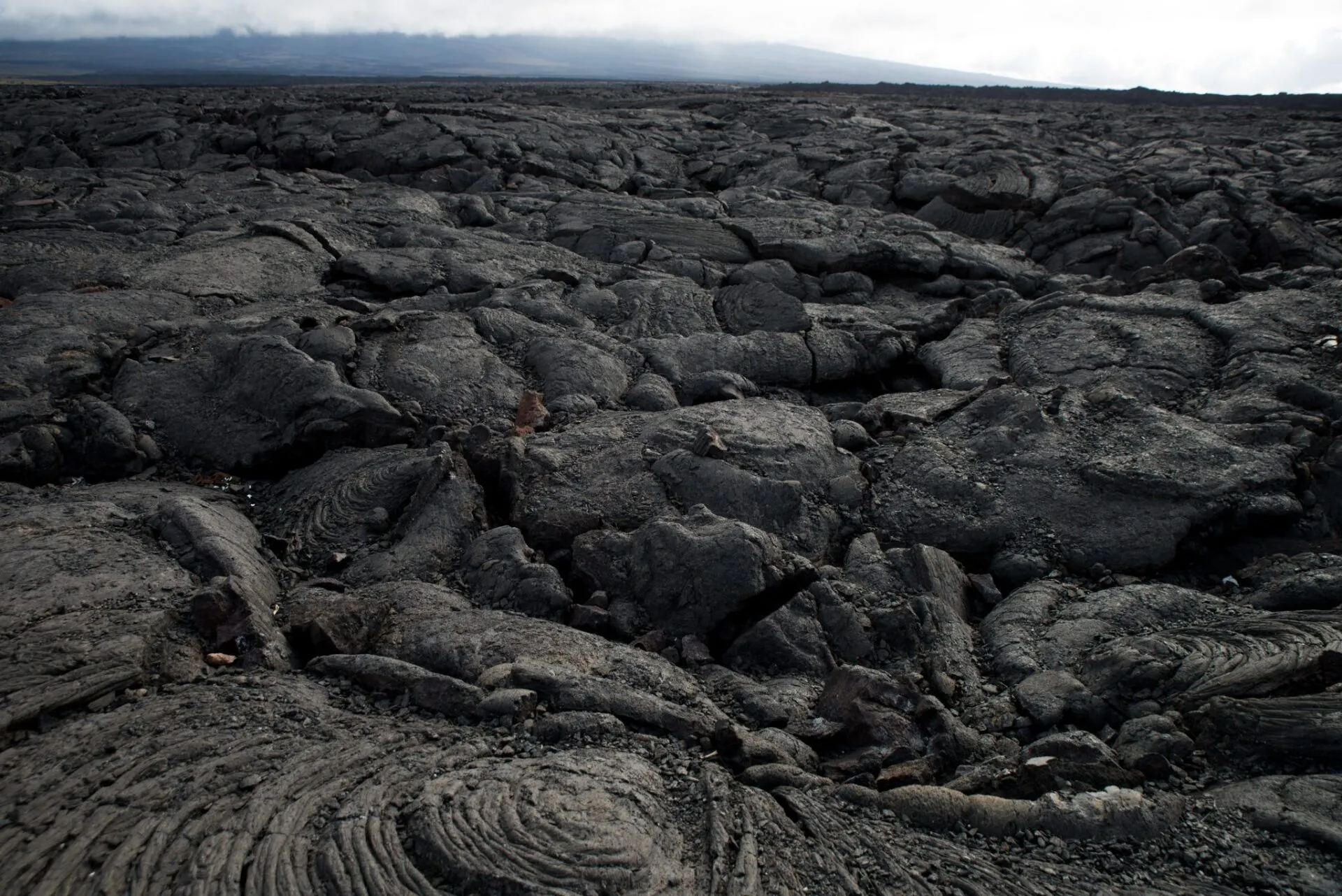 IRONMAN World Championship旅行記 (5/6)日目 – 世界一の星空 - 画像5