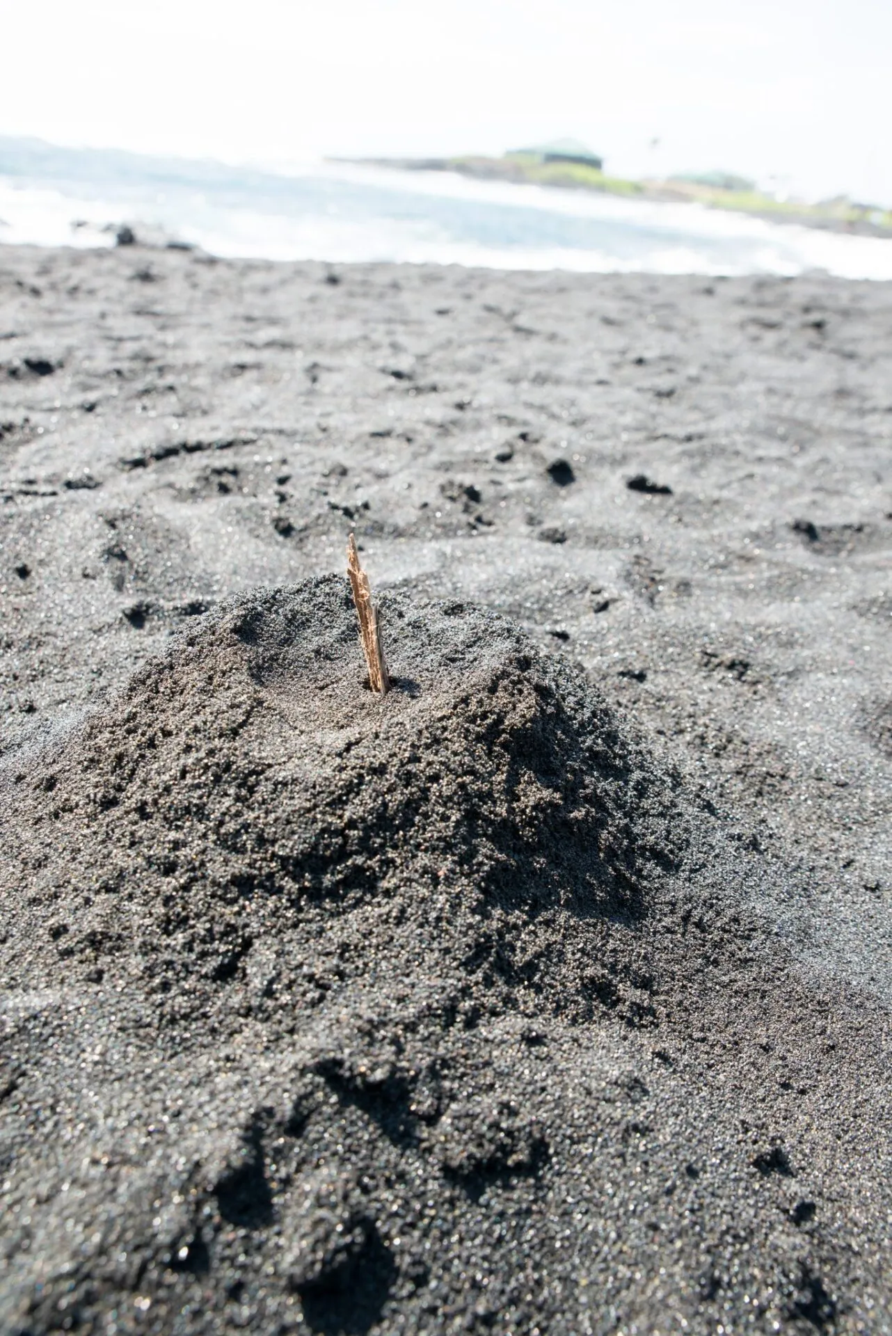 IRONMAN World Championship旅行記 (6/6)日目 – ハワイ島1周 - 画像17