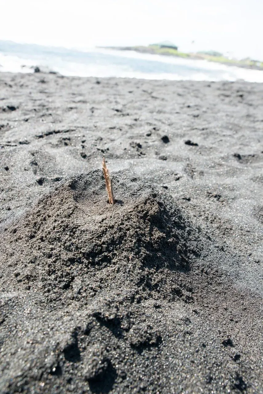 IRONMAN World Championship旅行記 (6/6)日目 – ハワイ島1周 - 画像17