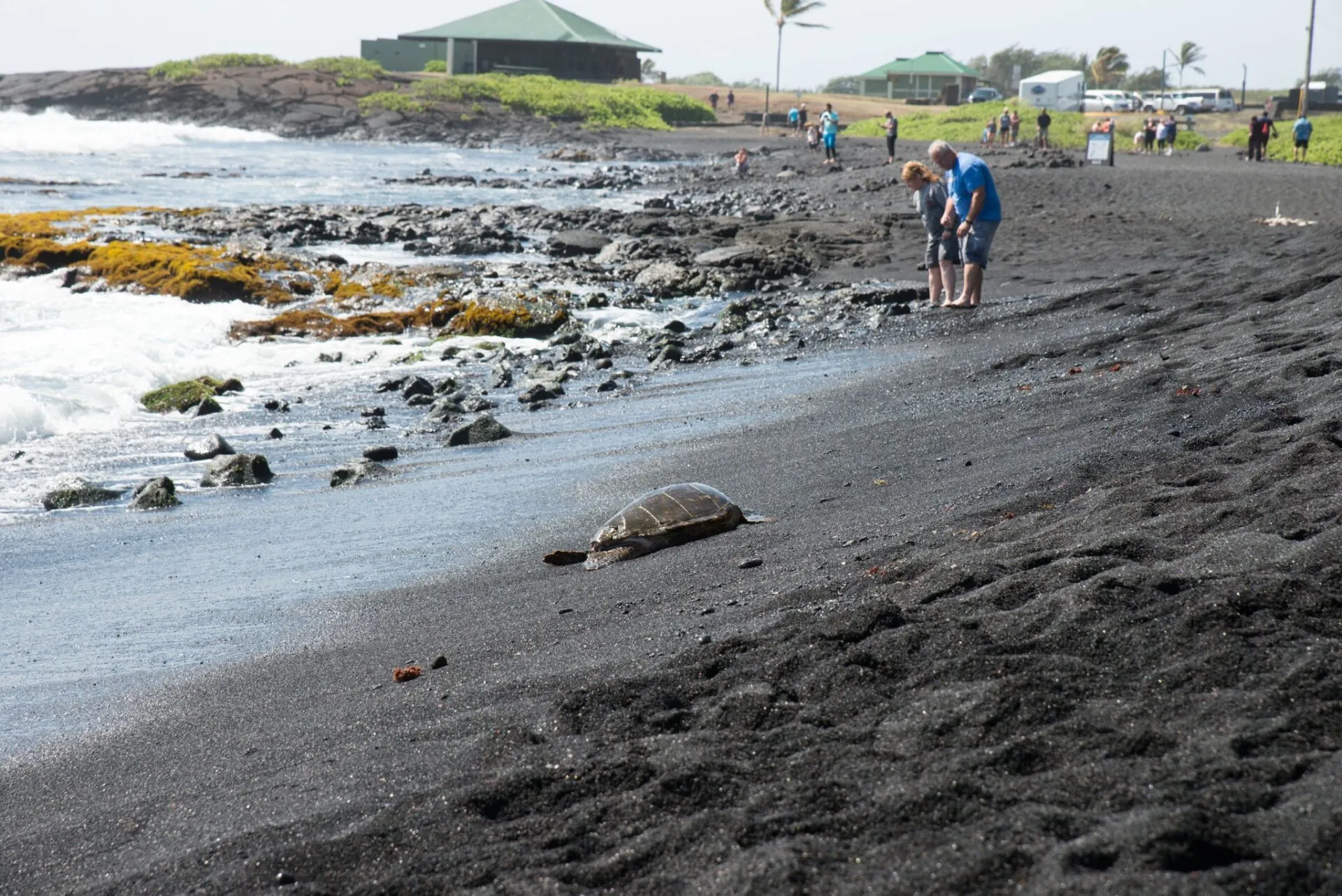 IRONMAN World Championship旅行記 (6/6)日目 – ハワイ島1周 - 画像20