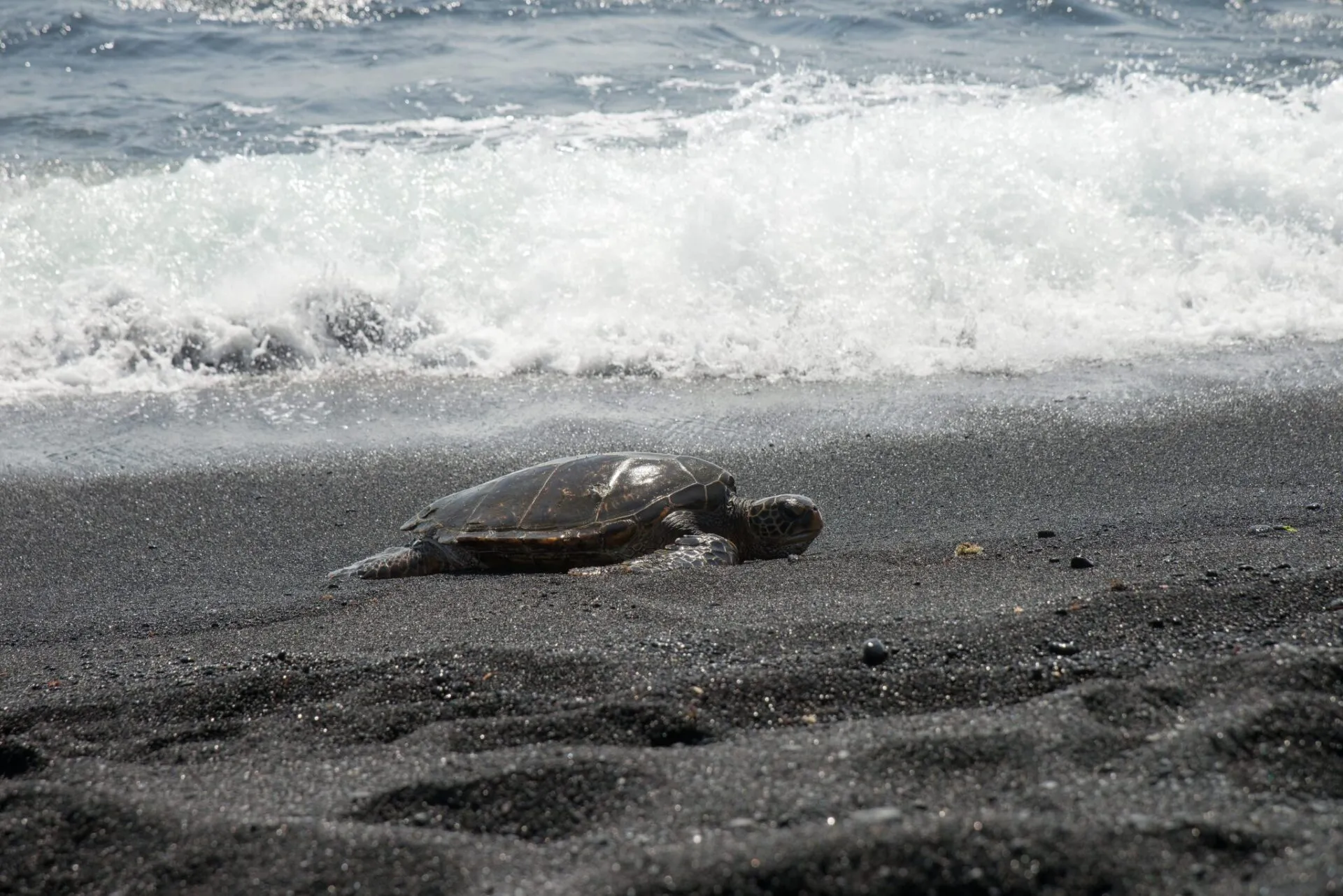 IRONMAN World Championship旅行記 (6/6)日目 – ハワイ島1周 - 画像21