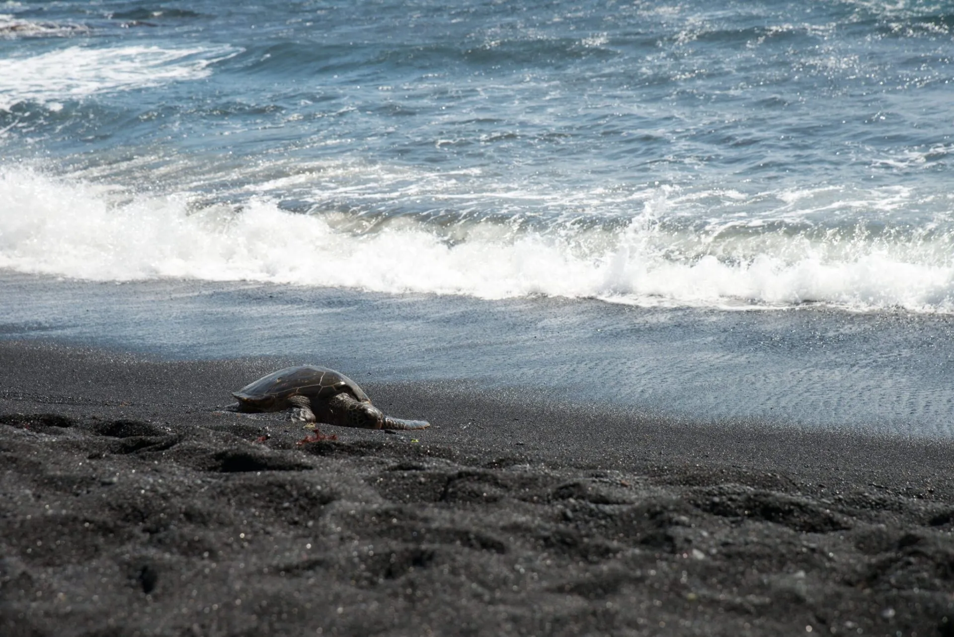 IRONMAN World Championship旅行記 (6/6)日目 – ハワイ島1周 - 画像22