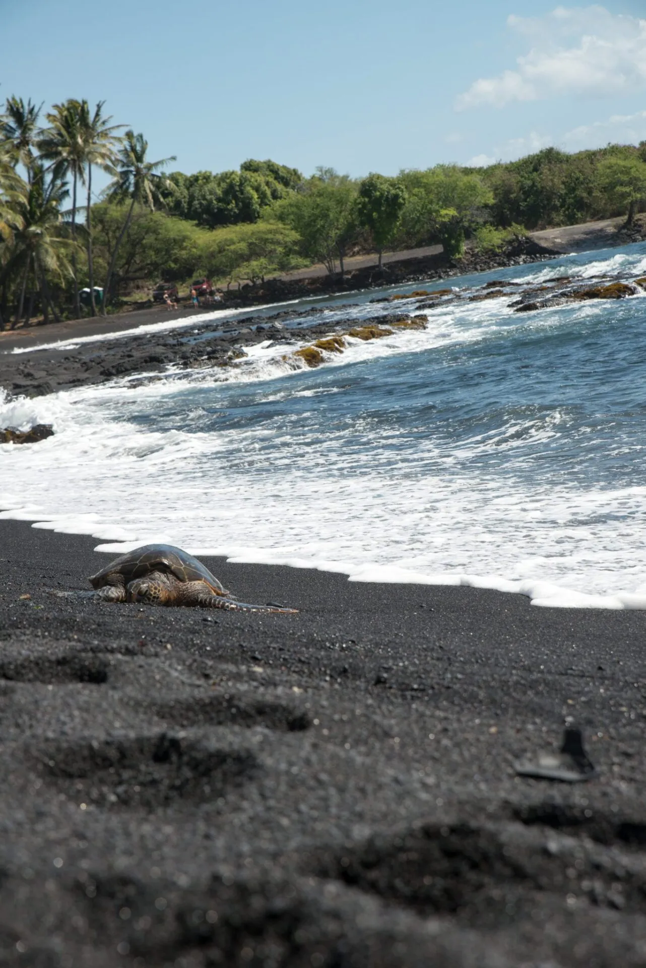 IRONMAN World Championship旅行記 (6/6)日目 – ハワイ島1周 - 画像26
