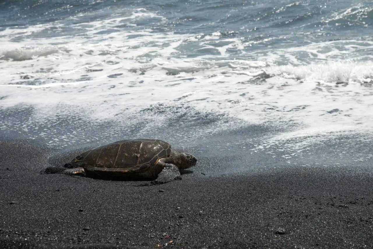 IRONMAN World Championship旅行記 (6/6)日目 – ハワイ島1周 - 画像27