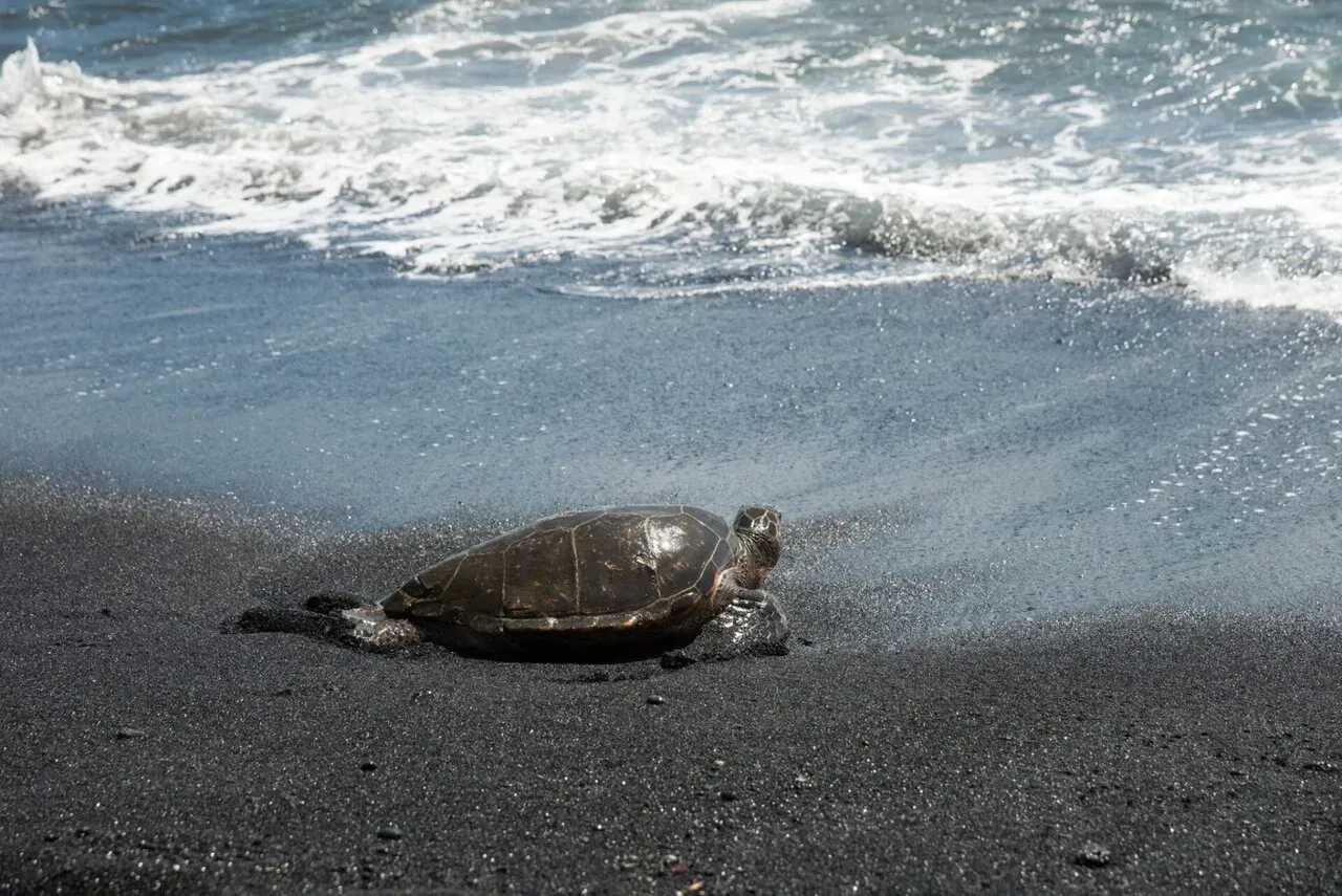 IRONMAN World Championship旅行記 (6/6)日目 – ハワイ島1周 - 画像28