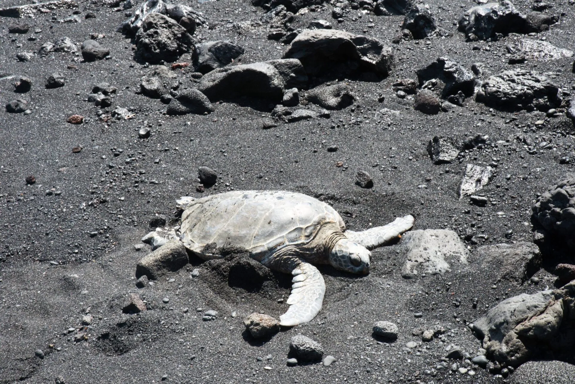 IRONMAN World Championship旅行記 (6/6)日目 – ハワイ島1周 - 画像29