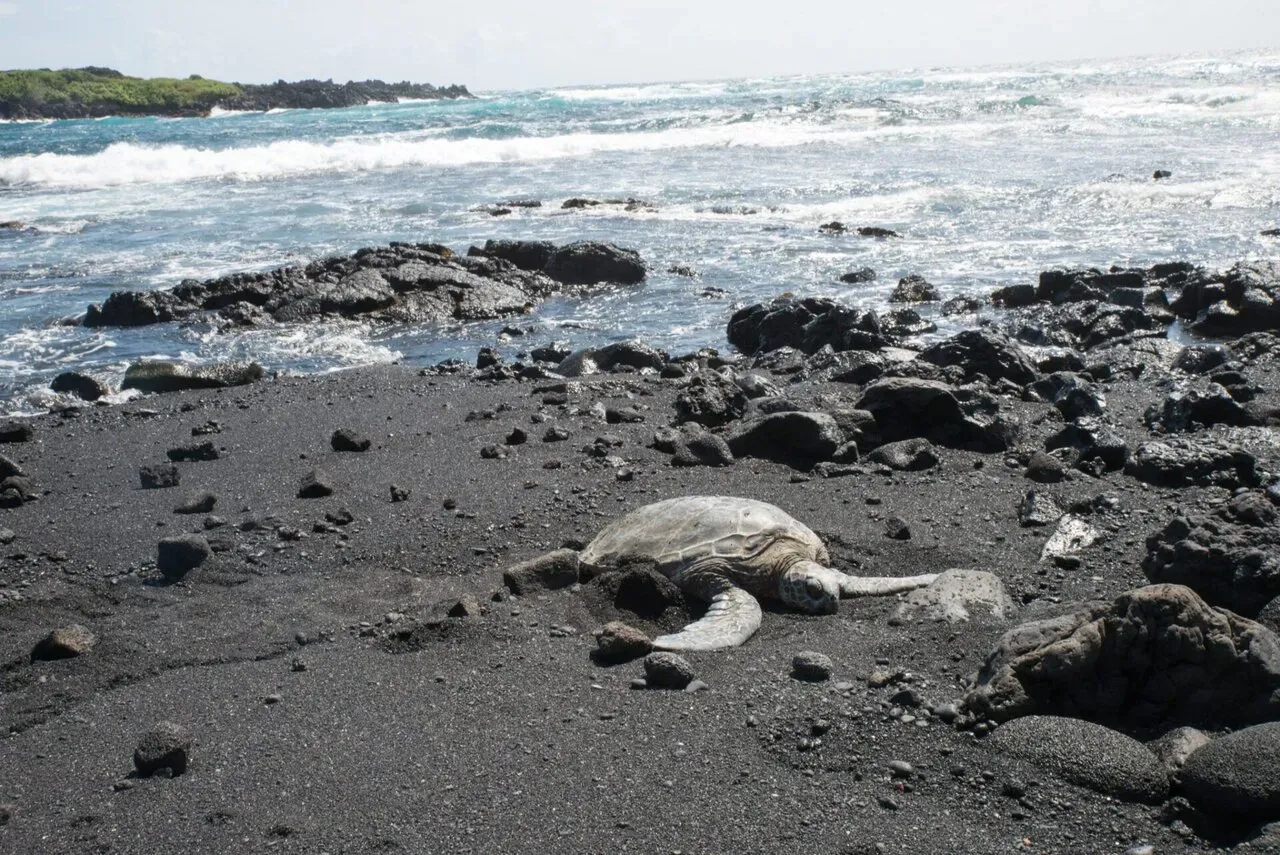 IRONMAN World Championship旅行記 (6/6)日目 – ハワイ島1周 - 画像30