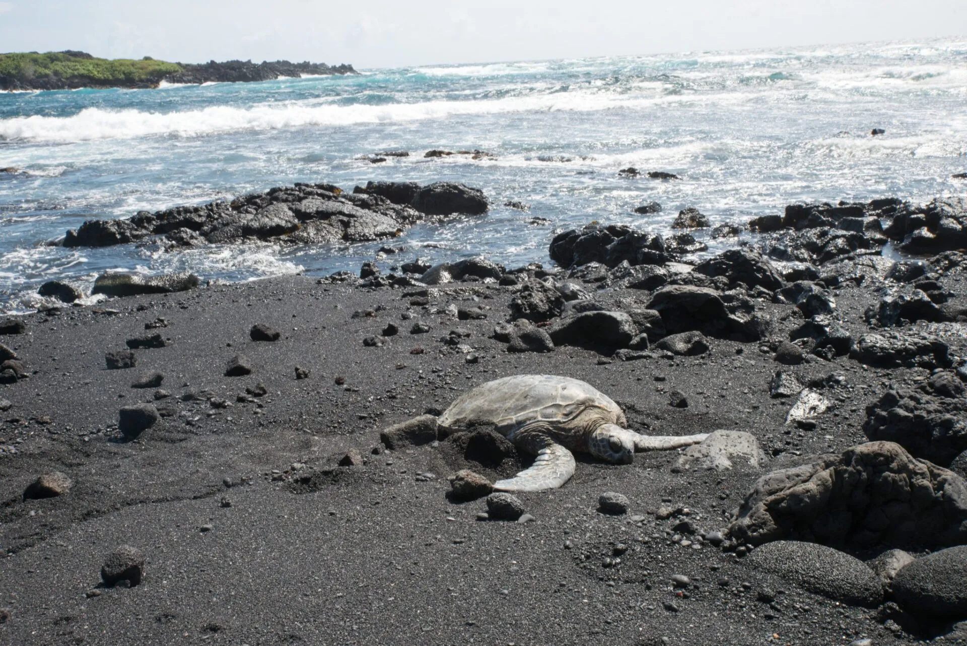 IRONMAN World Championship旅行記 (6/6)日目 – ハワイ島1周 - 画像30