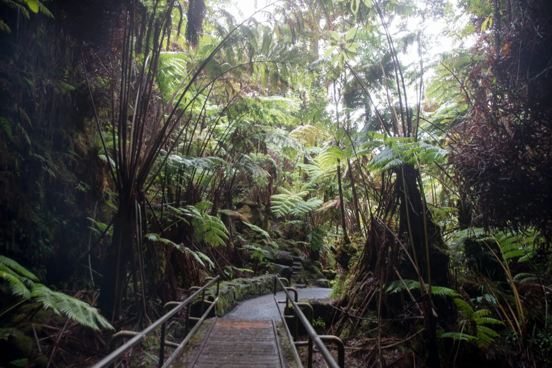 IRONMAN World Championship旅行記 (6/6)日目 – ハワイ島1周 - 画像67