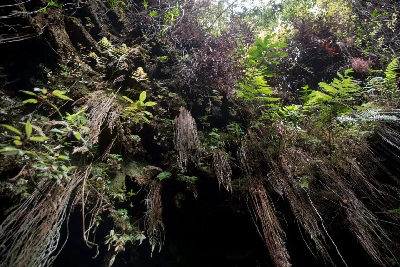 IRONMAN World Championship旅行記 (6/6)日目 – ハワイ島1周 - 画像68