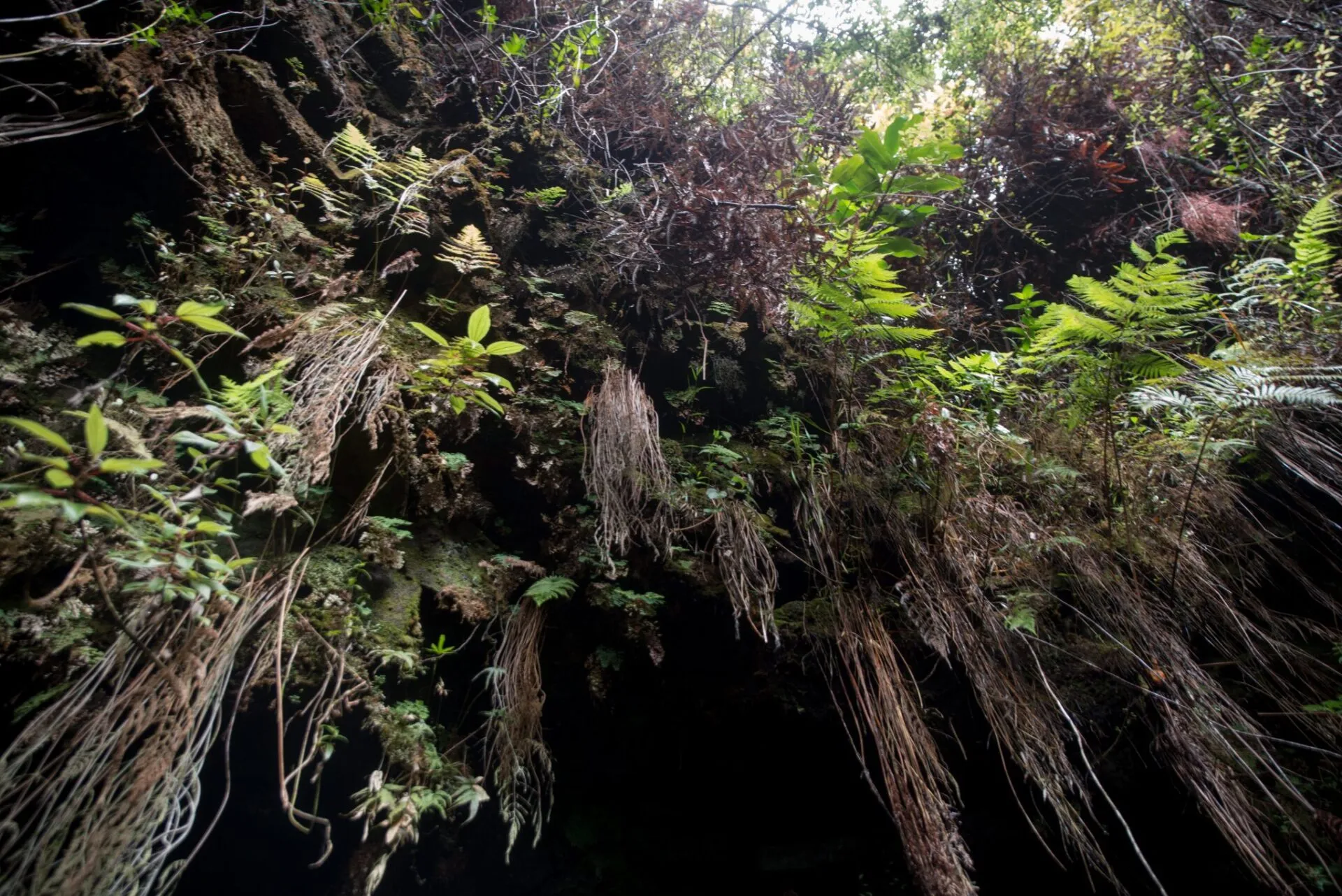 IRONMAN World Championship旅行記 (6/6)日目 – ハワイ島1周 - 画像68