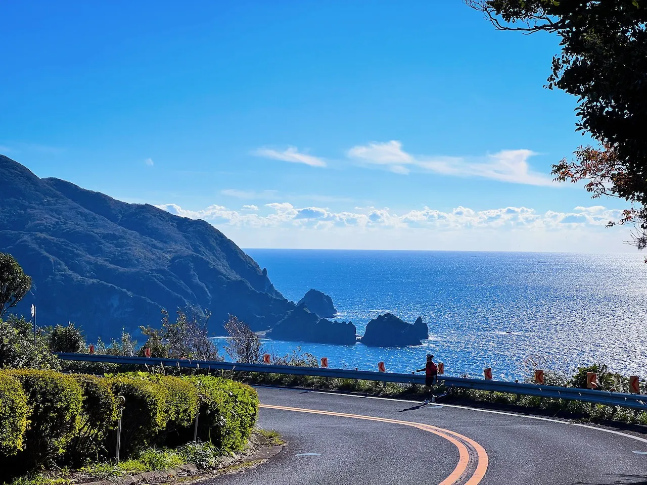 伊豆半島の断崖と青い海を見下ろすコーストライン