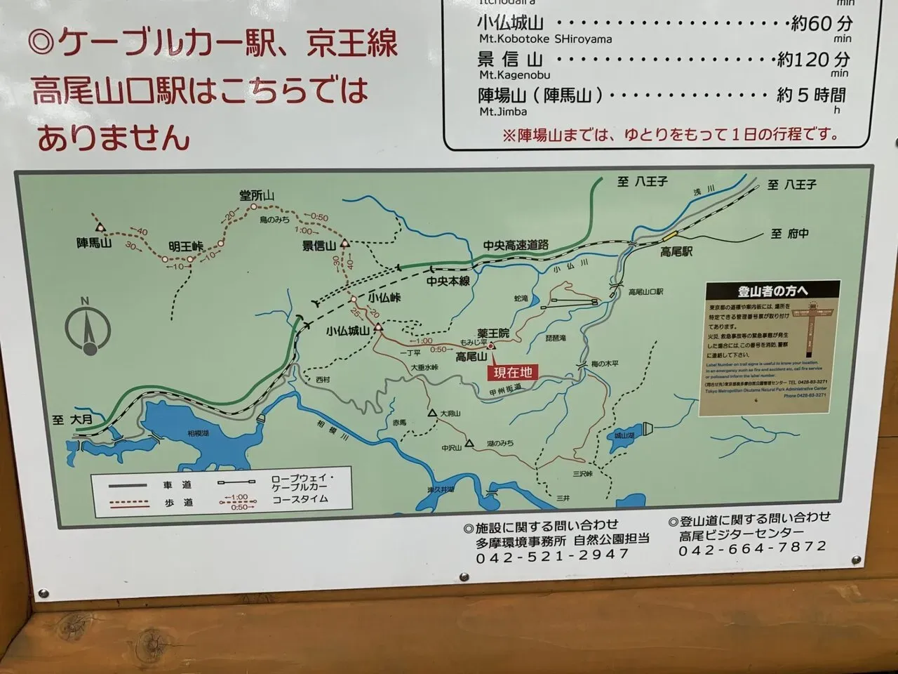 結構バリエーションがある。コーラ500ml買う。