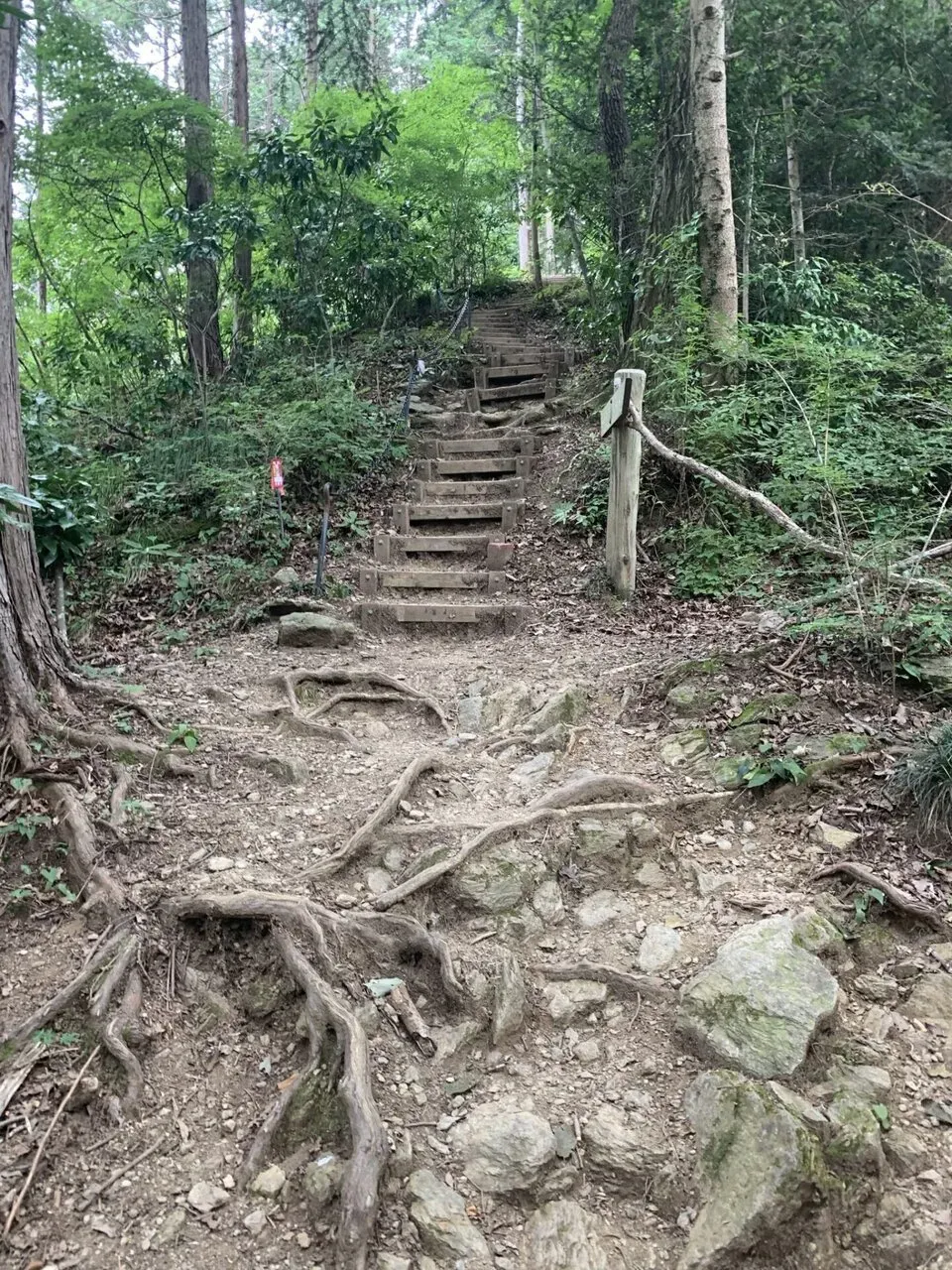 こっちは10分に1人とすれ違うぐらい。