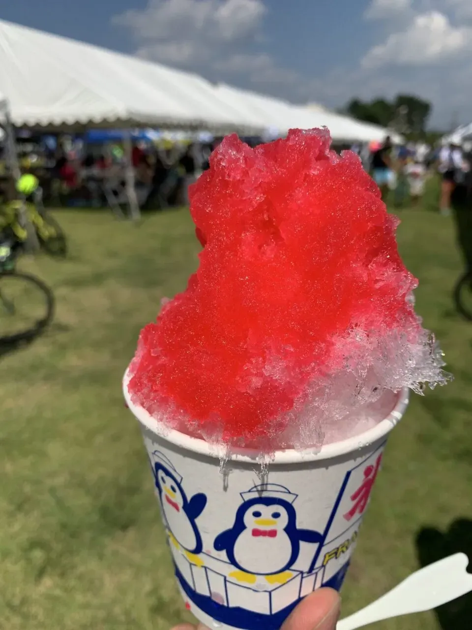 木更津トライアスロン スプリント エイジ1位、総合4位 - 画像8