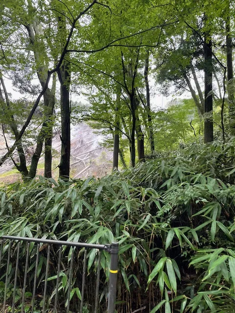 道のすぐ脇で水蒸気が上がってます。怖い。