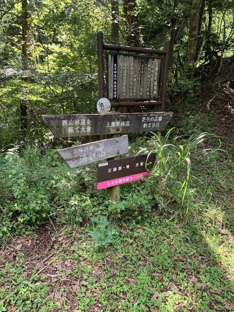 いきなり入り口を間違って遠回り