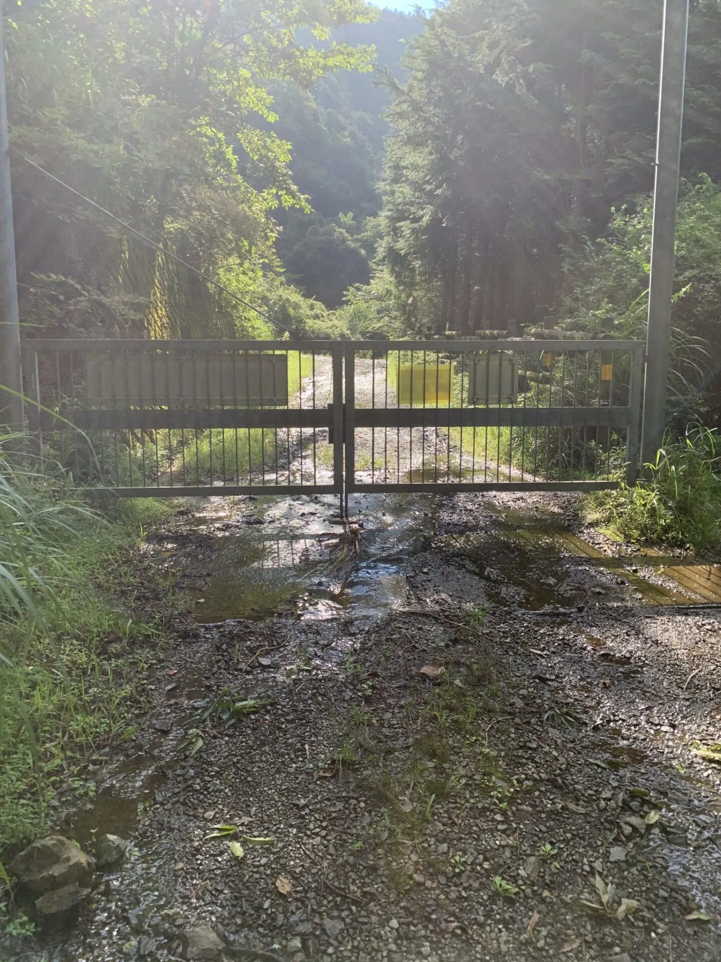 丹沢へ登山トレーニング - 画像27