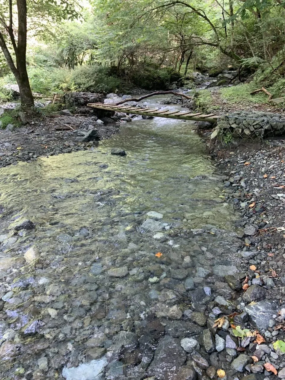 鍋割山は水場があって幸せ