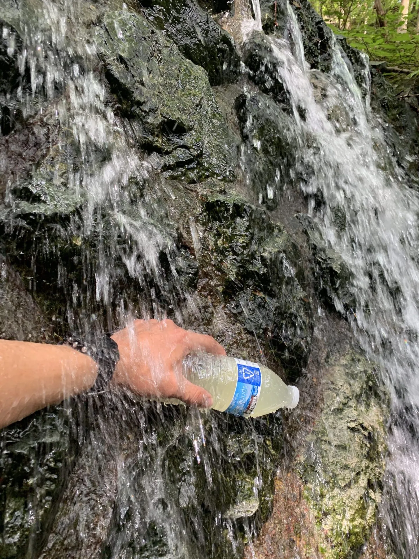 丹沢へ登山トレーニング - 画像25