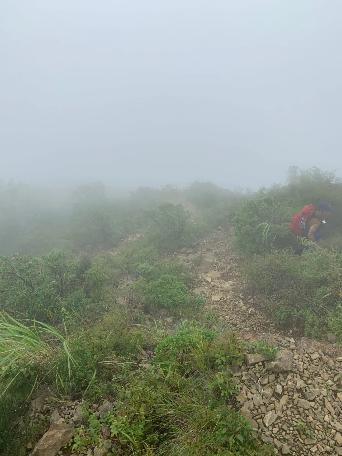 丹沢へ登山トレーニング - 画像19