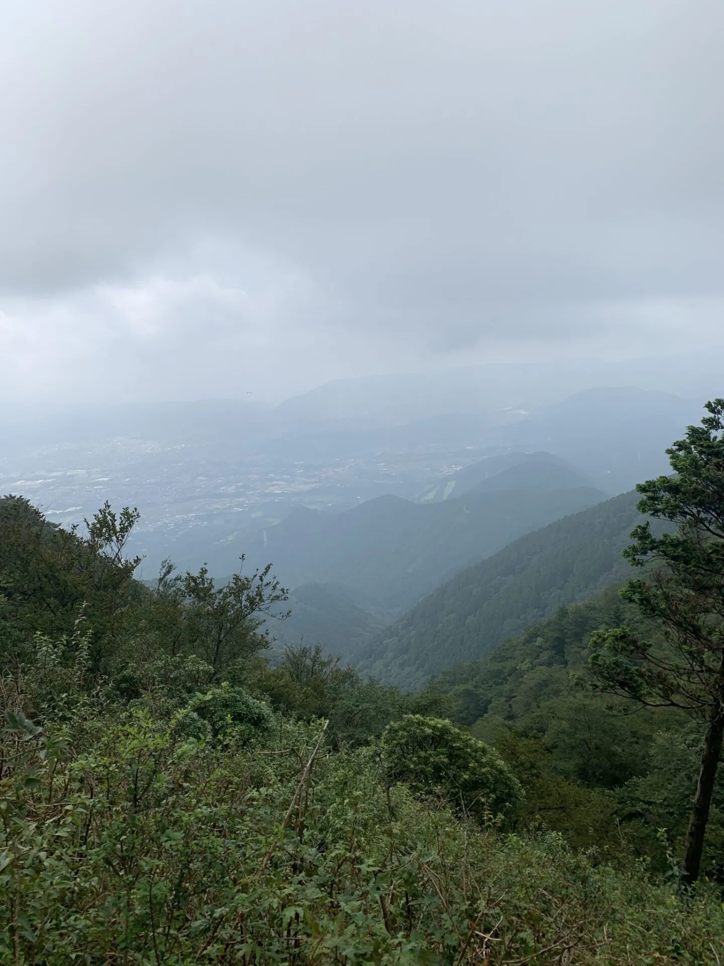 丹沢へ登山トレーニング - 画像13