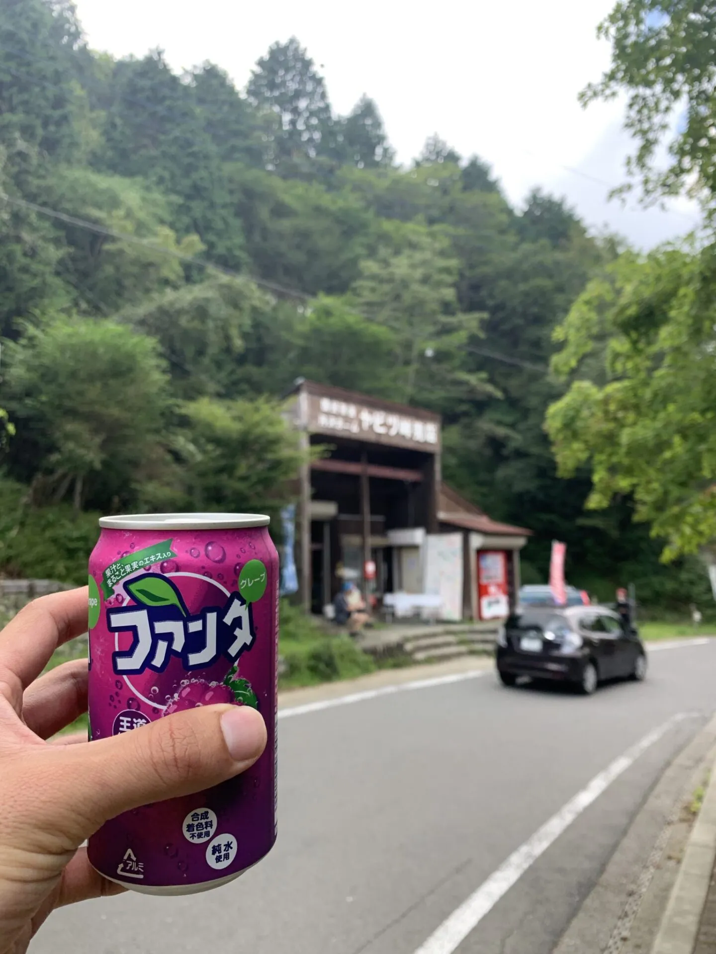 丹沢へ登山トレーニング - 画像12