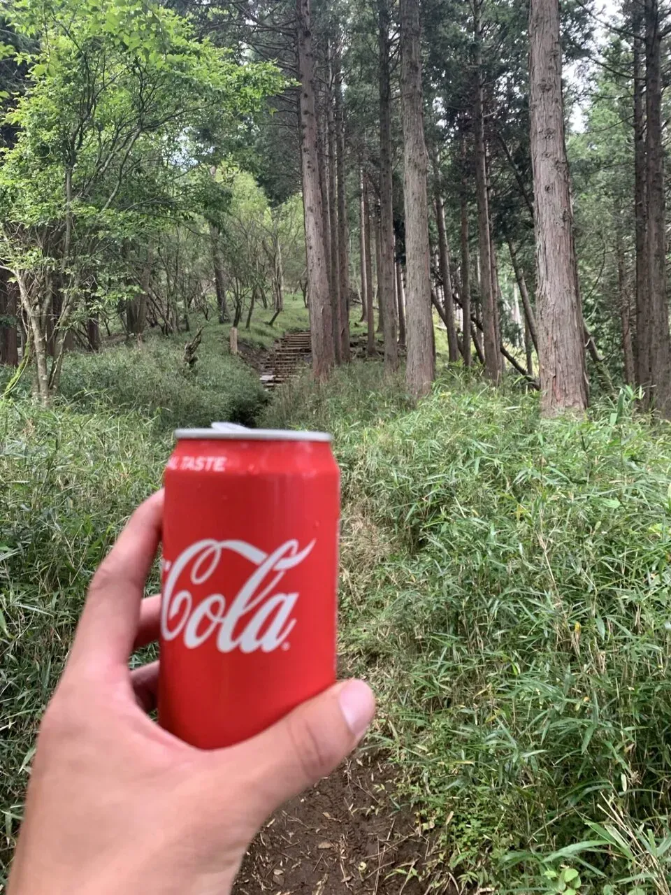 大山へ歩きながら3本目