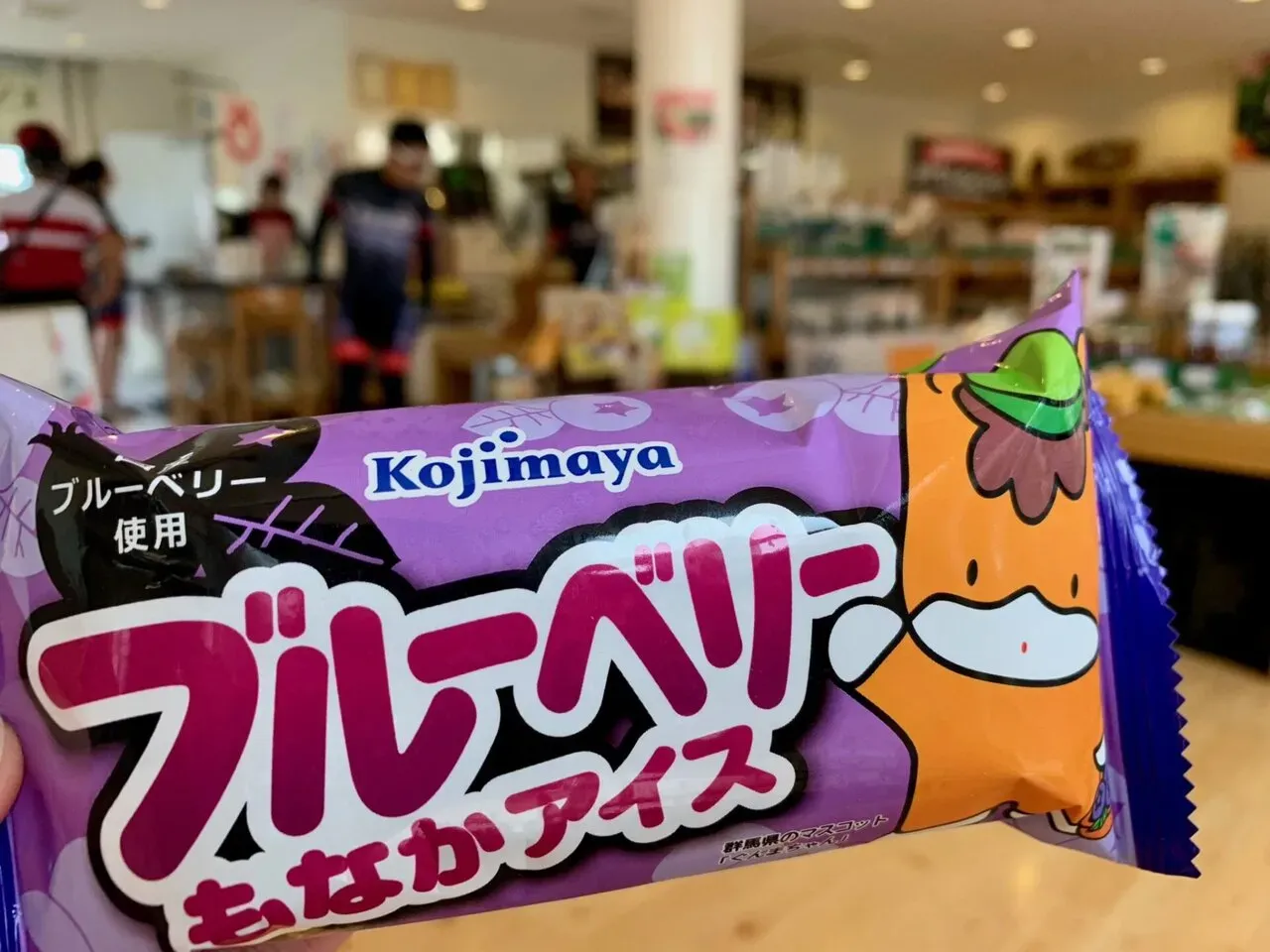 霞ヶ浦1周(short) 90km ライド練習 - 画像1