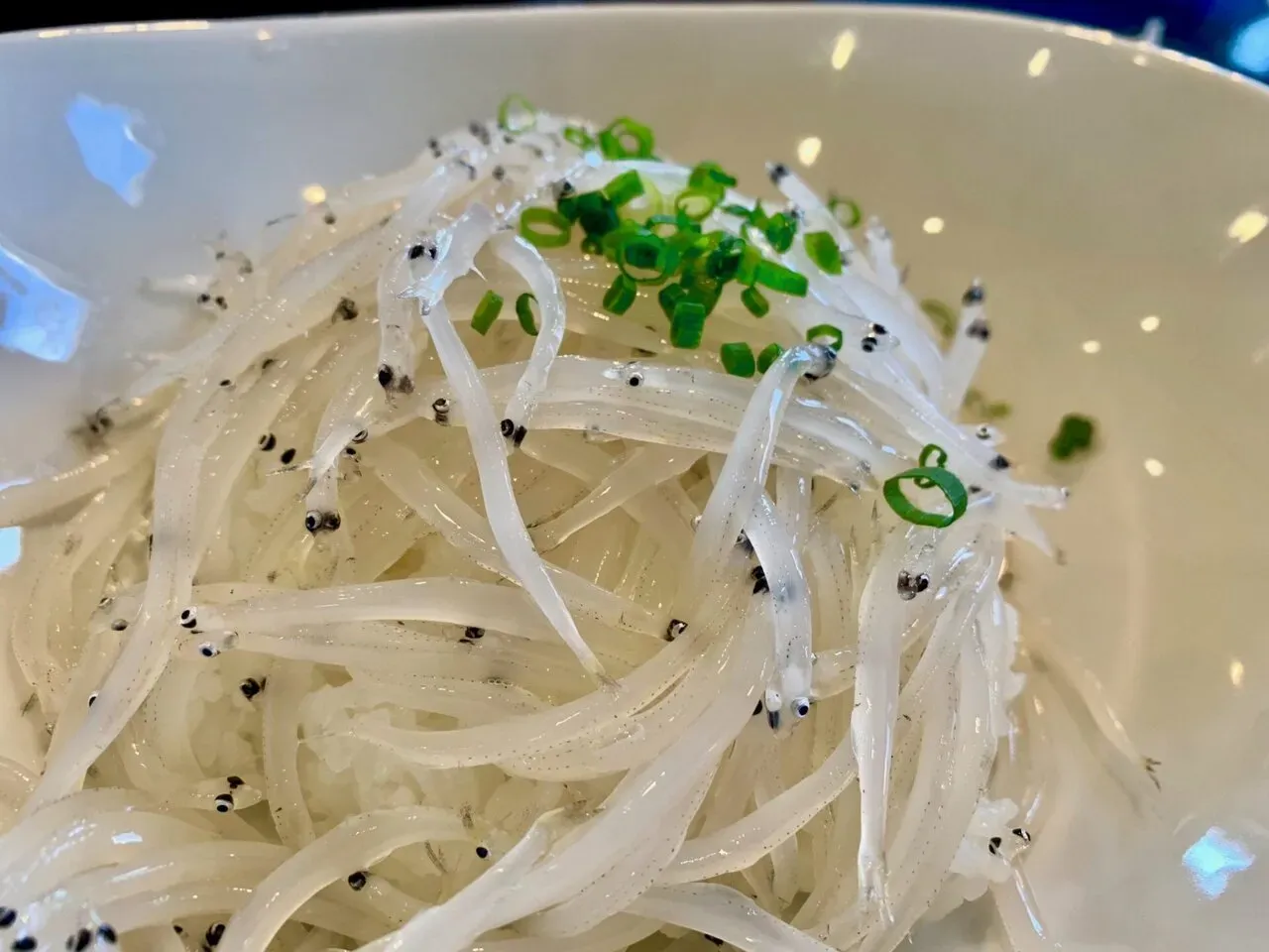 霞ヶ浦1周(short) 90km ライド練習 - 画像2