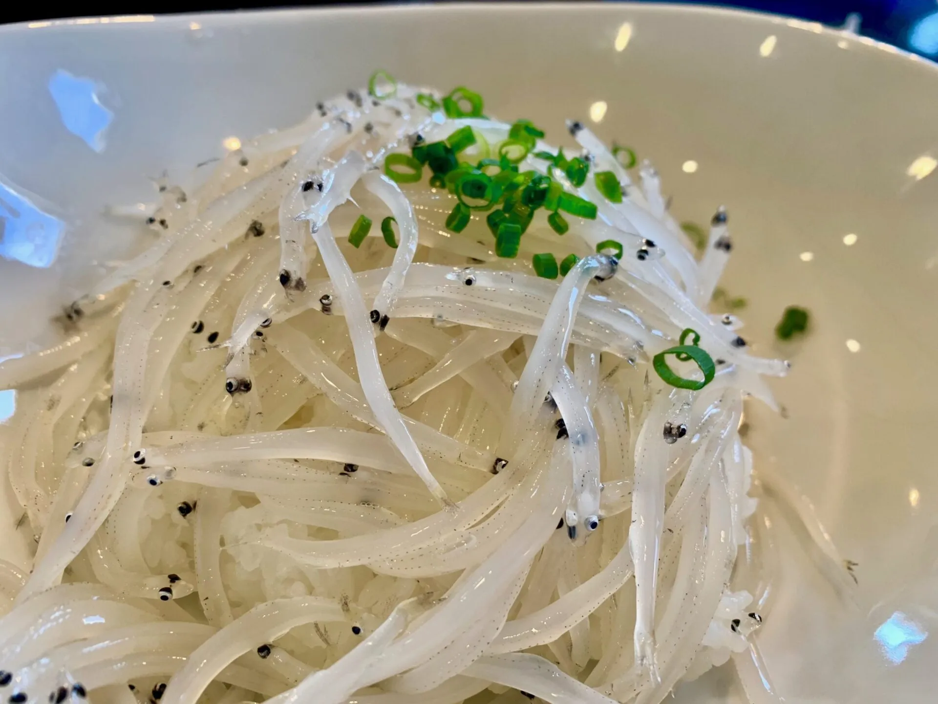 霞ヶ浦1周(short) 90km ライド練習 - 画像2