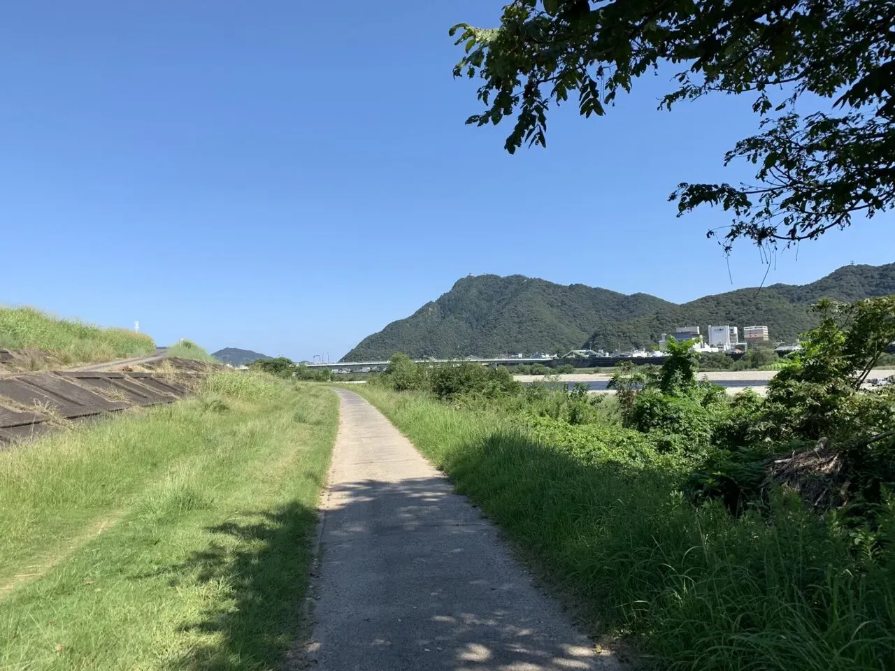 高橋尚子ロード