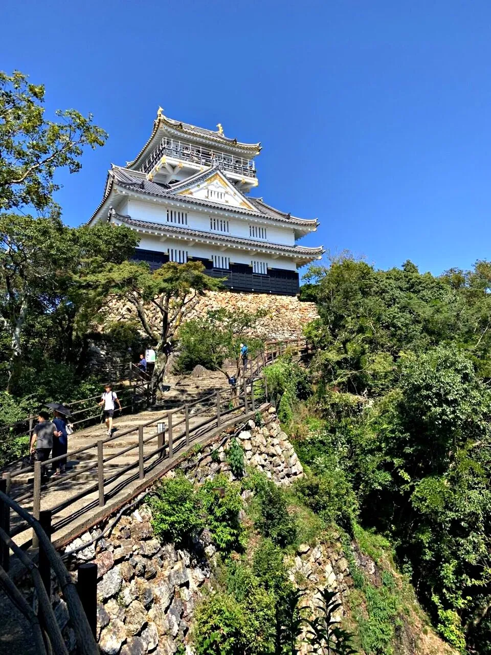 Cover Image of the Post