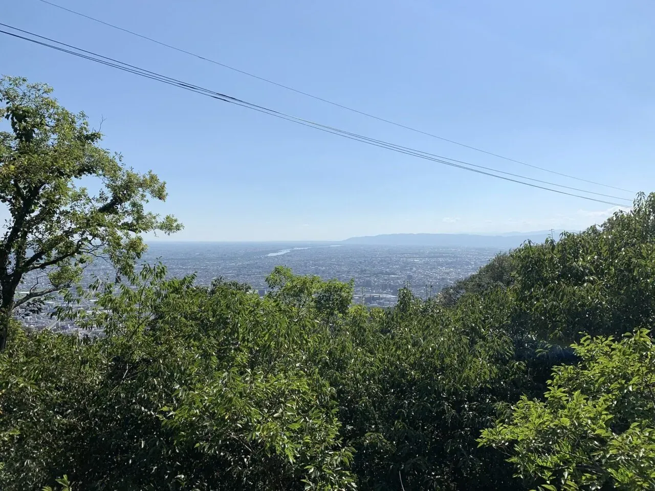 道中は眺望なし。上に行けば見晴らし良い！