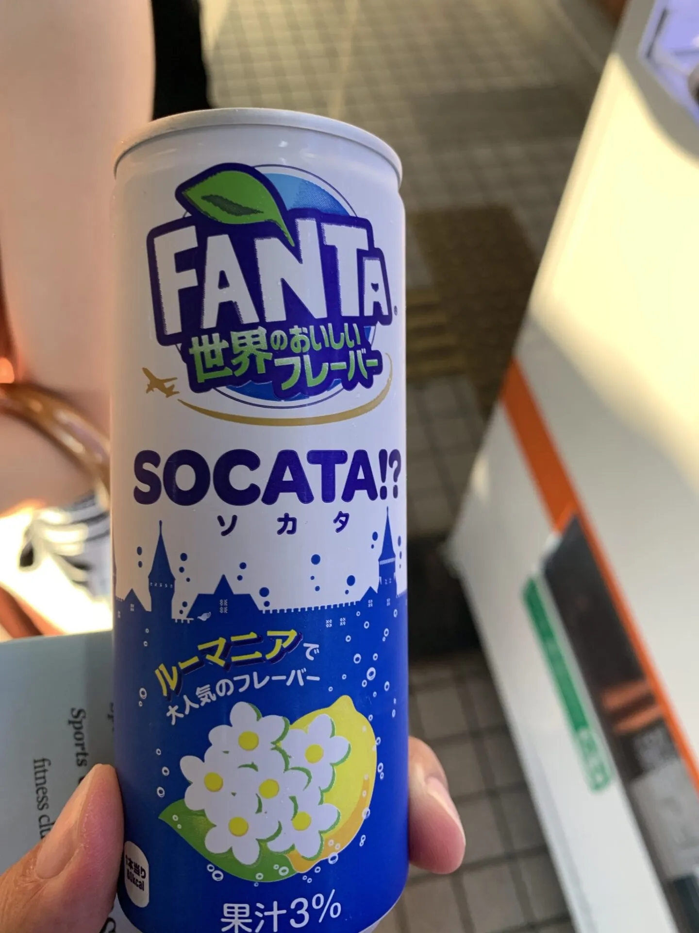 金華山+舟伏山トレラン - 画像17