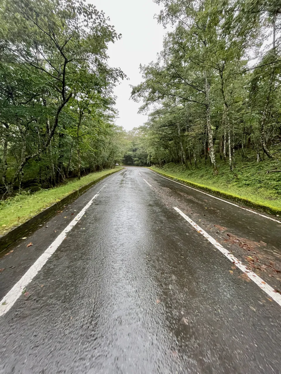 富士3PEAKS (200km 獲得標高5000m) に行ってきました - 画像22