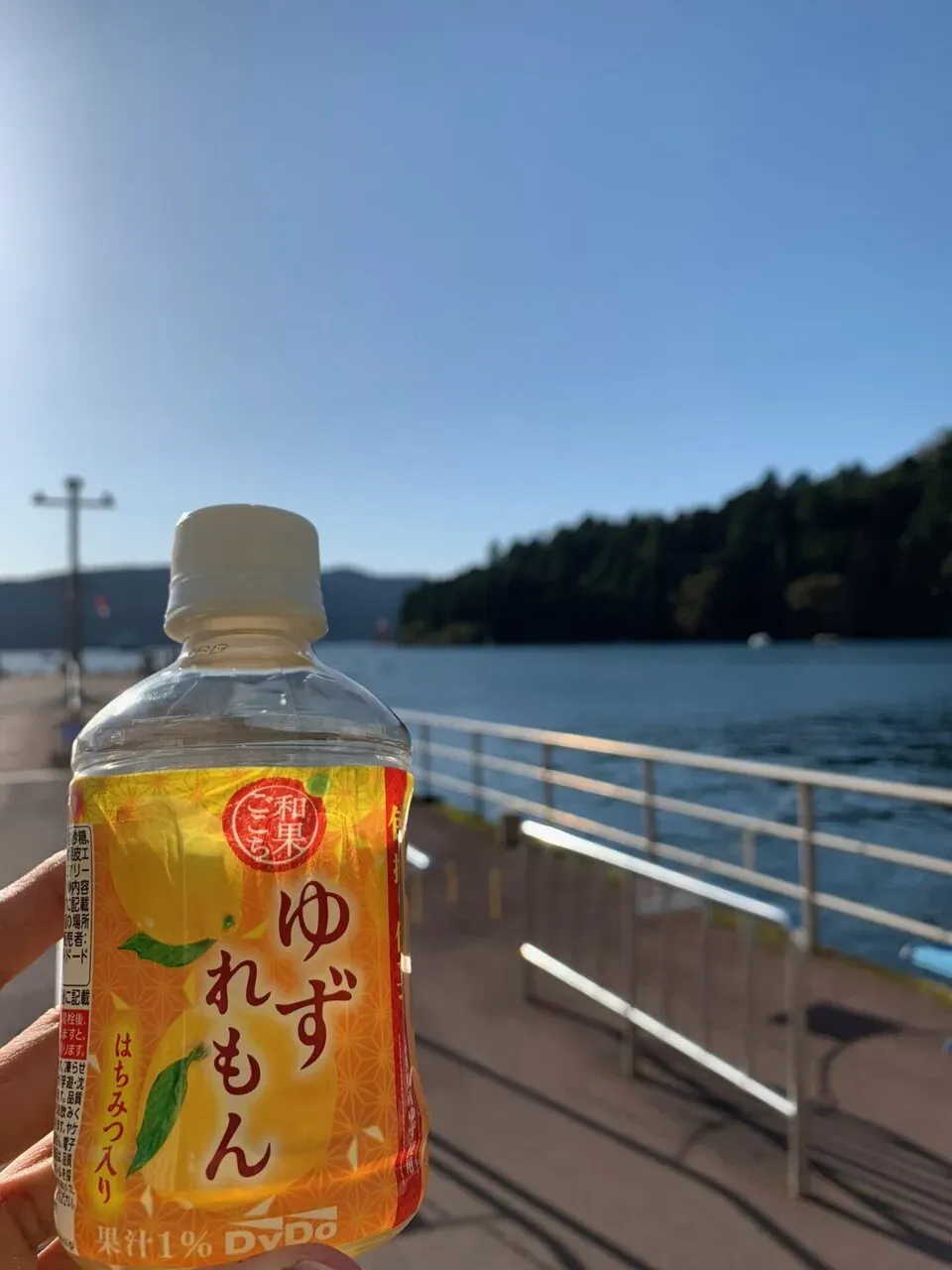 葉山 <-> 箱根 150km 1450m up トレーニング - 画像11