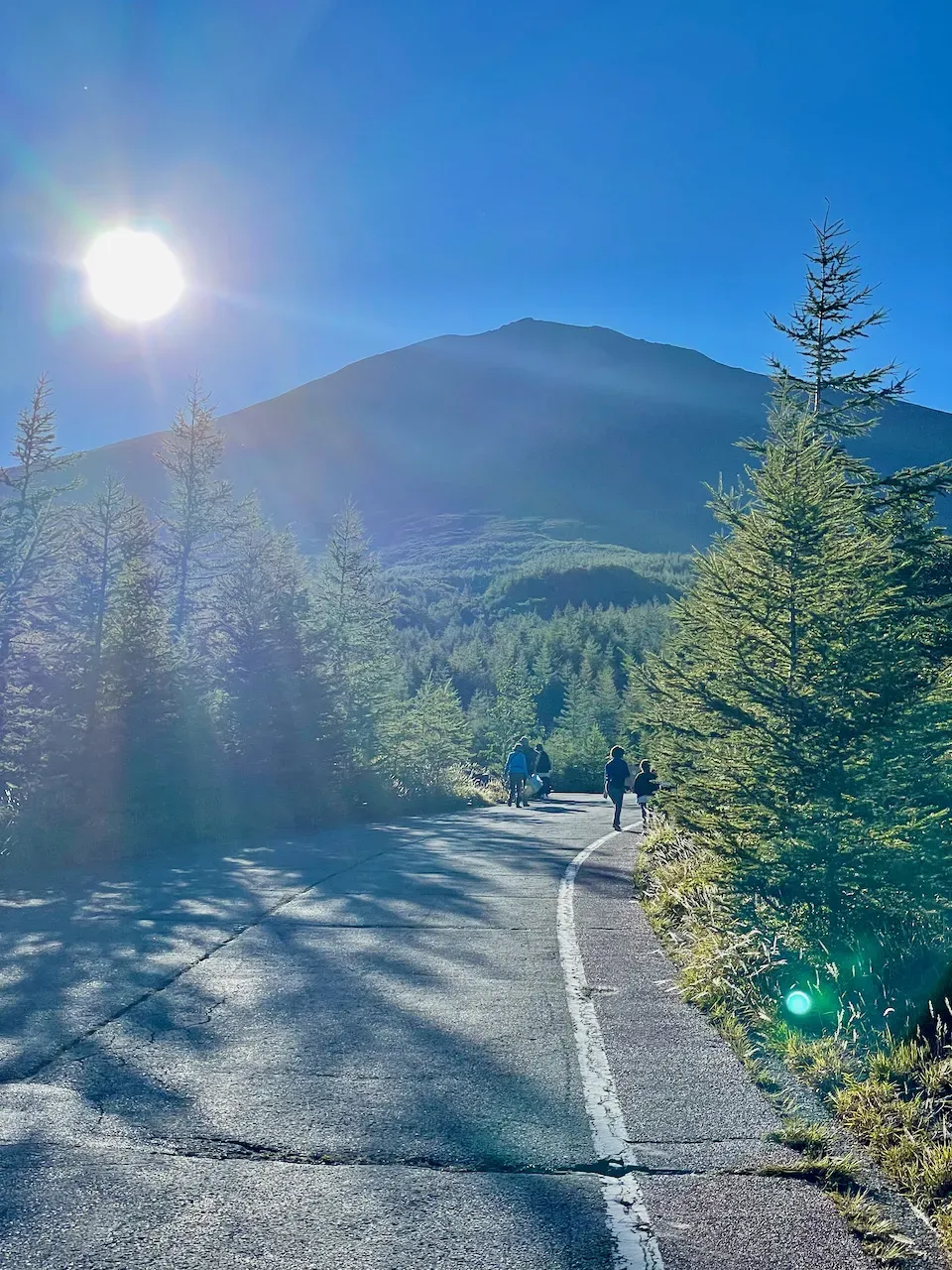 太陽が眩しい！