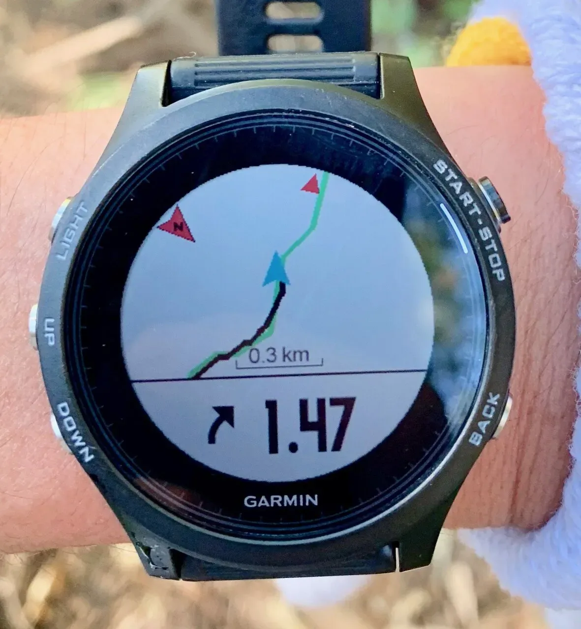 高尾陣馬トレラン トレーニング 28km - 画像12