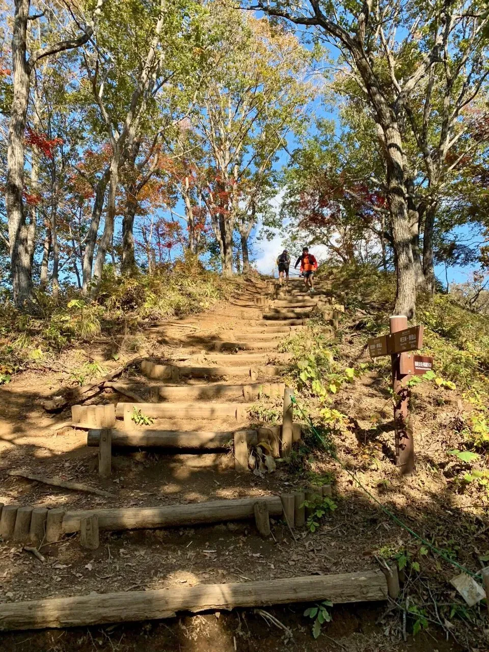 高尾陣馬トレラン トレーニング 28km - 画像14