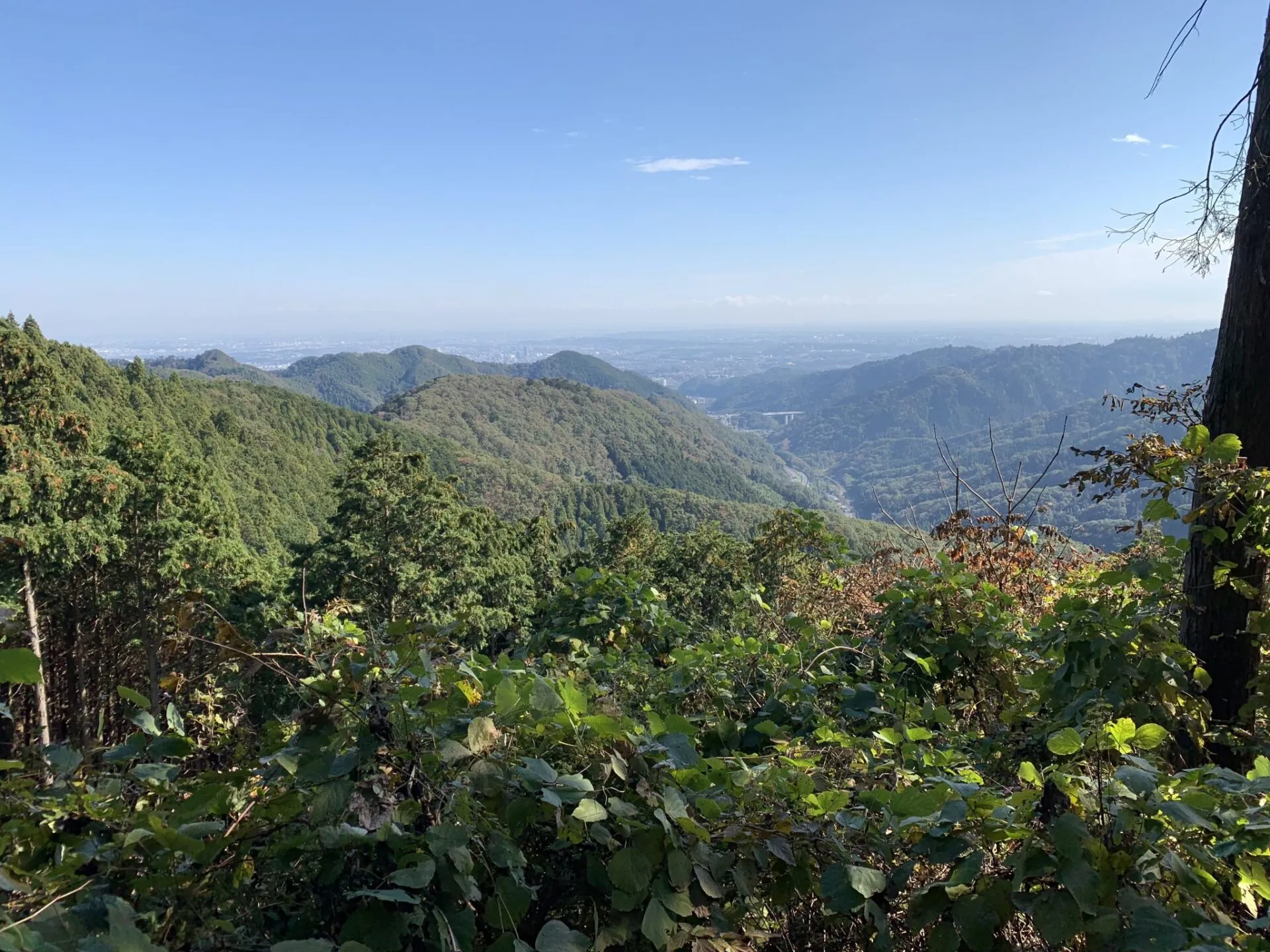 高尾陣馬トレラン トレーニング 28km - 画像22